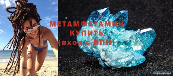 гидра Елизово