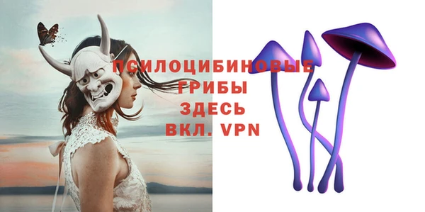 гидра Елизово