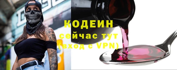 дмт Ельня