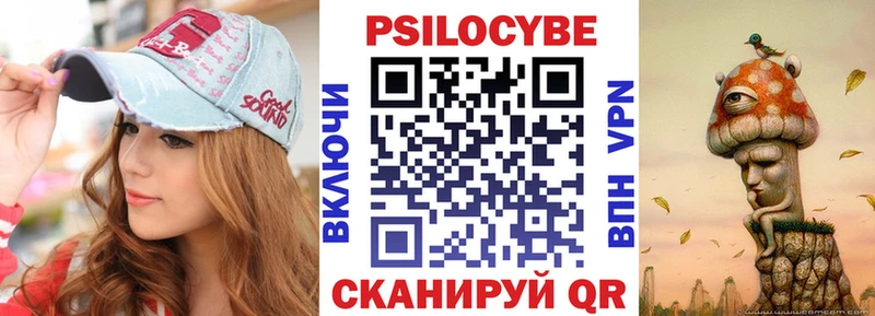 Галлюциногенные грибы Psilocybe  Купить закладки  Пугачёв 